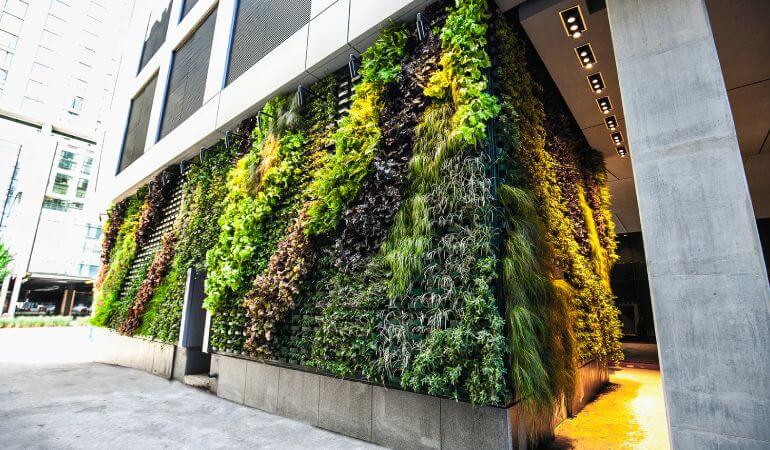 Beautiful Green Building