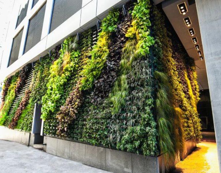 Beautiful Green Building